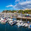 Hafen in der Stadt Funchal auf der Insel Madeira by Rico Ködder