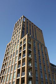 Rosa Toren. von Chantal Hoofs