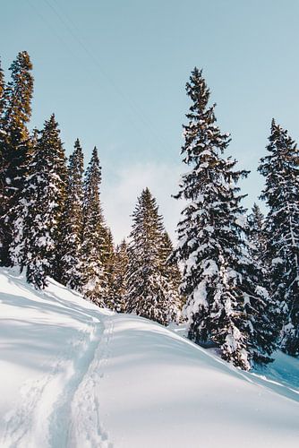 Piste de neige en Suisse
