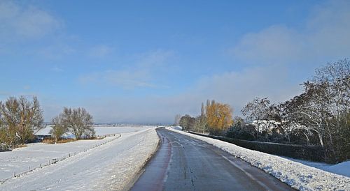 The road where silence breathes.