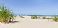 Summer at the beach