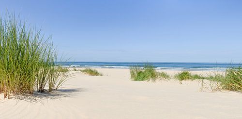 Summer at the beach