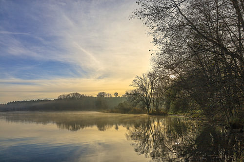 Oeverlandschap van Schwackenreuter gezien in het ochtendlicht met de laatste restjes mist