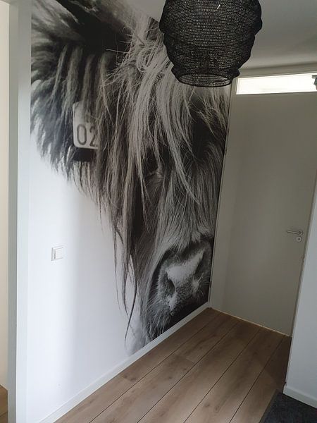Customer photo: Portrait Scottish Highlander black and white by Sandra van Kampen, as wallpaper