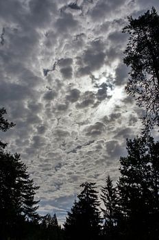 Wolkenspel in de lucht