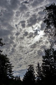 Wolkenspel in de lucht van Remco de Zwijger