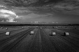 Storm op komst van Niels Eric Fotografie