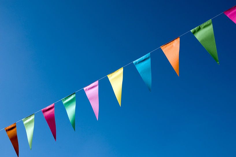 Het is feest! Kom je ook? van Margot van den Berg