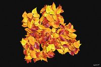 Herbstblätter