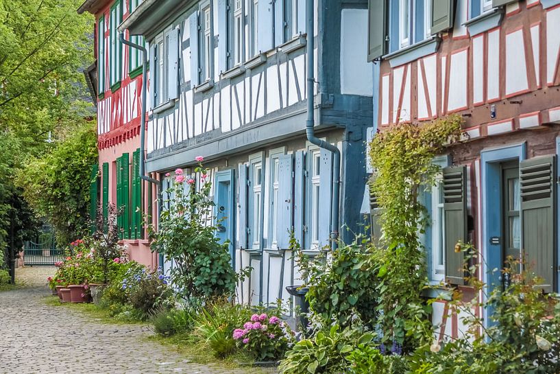 Fachwerkhäuser in der Altstadt von Frankfurt-Höchst van Christian Müringer