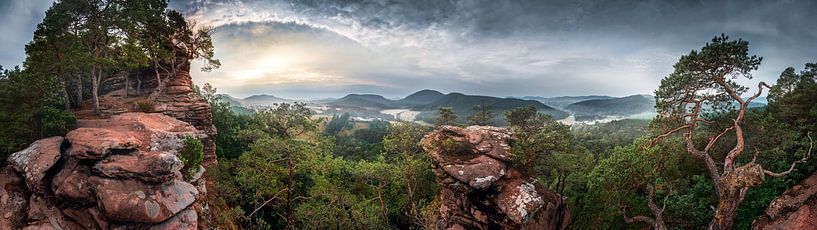 Palatinate Forest panorama in atmospheric light. by Voss photography