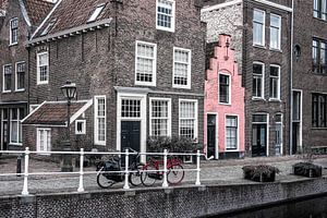 Das rosa Haus