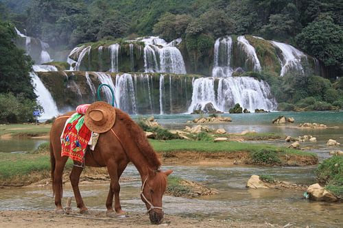 Waterval met paard