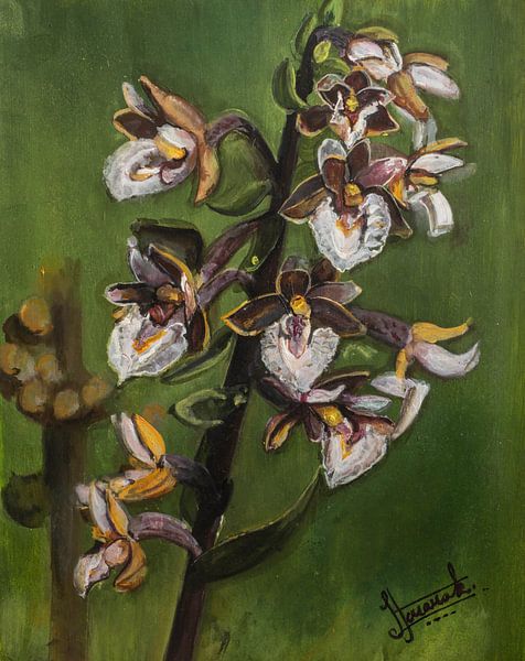 Wilde veldbloemen van Henk Goossens