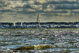 Op een stormachtige dag. by Mariska Brouwenstijn