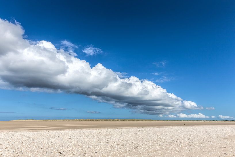 sandiges Gebiet des Hors auf Texel von eric van der eijk