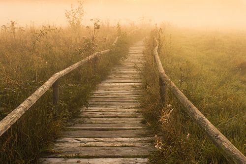 Het mistpad naar zonsopgang