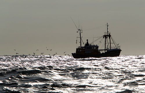 Viskotter Anna Tatjana WR 222 