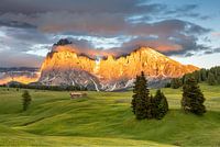 Alpenglow Alpe di Siusi