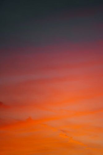 multicolor #2 von Debby Bierman