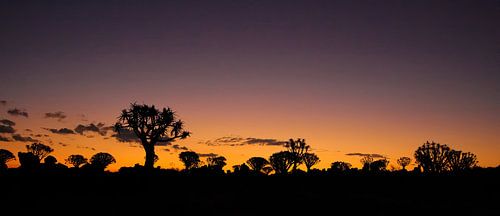 Sunset in Namibia