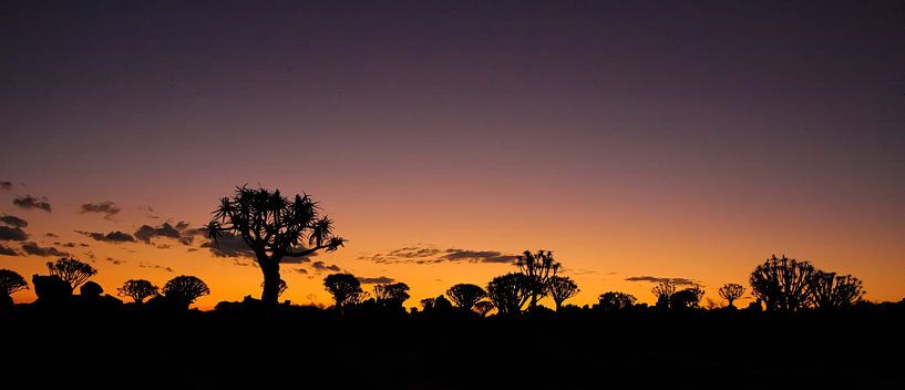 Sonnenuntergang in Namibia von Roland Brack