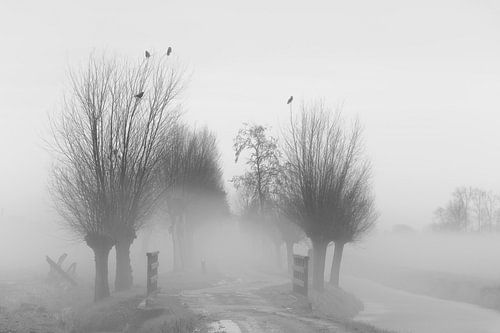 Landweg in de mist.