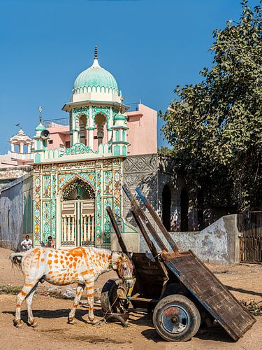 Ezel en moskee, Jhunjhunu, Shekawati.