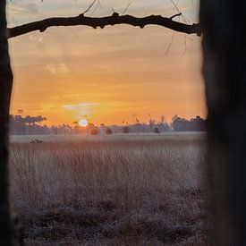 zonsopkomst in Salland van Maurits Hagen