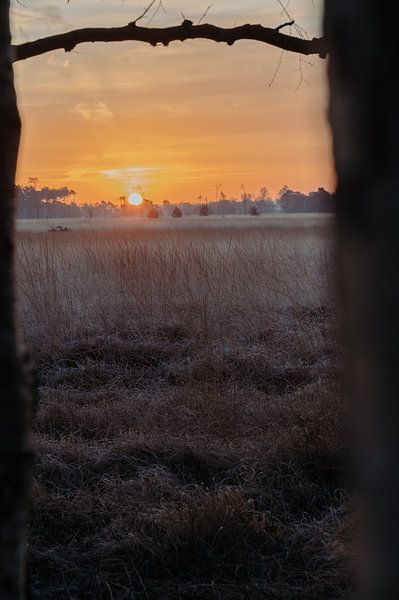 zonsopkomst in Salland van Maurits Hagen