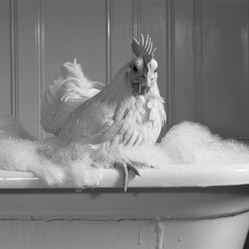 Coq dans la baignoire - Une image de salle de bain amusante sur Felix Brönnimann