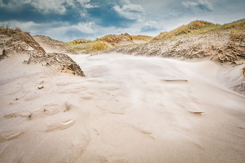 North Sea coast with the dune during a storm by eric van der eijk