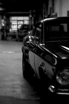 Ford mustang van Kas Den Elzen