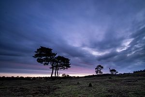 Sonnenaufgang auf dem Anwesen Heidestein Bornia.