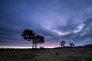 Zonsopkomst landgoed Heidestein Bornia. van Peter Haastrecht, van