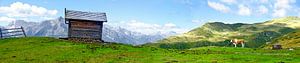 Alm in Tirol