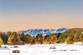 Die Schönheit des Winters auf dem Capcir (66)