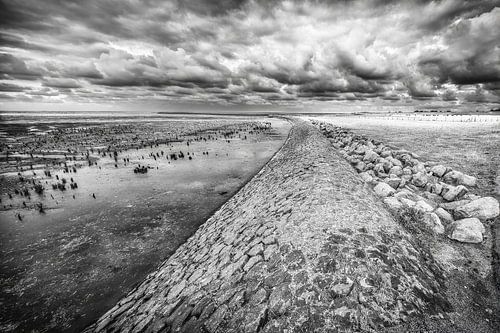 Het drooggevallen wad bij Ternaard met dam de diepte in