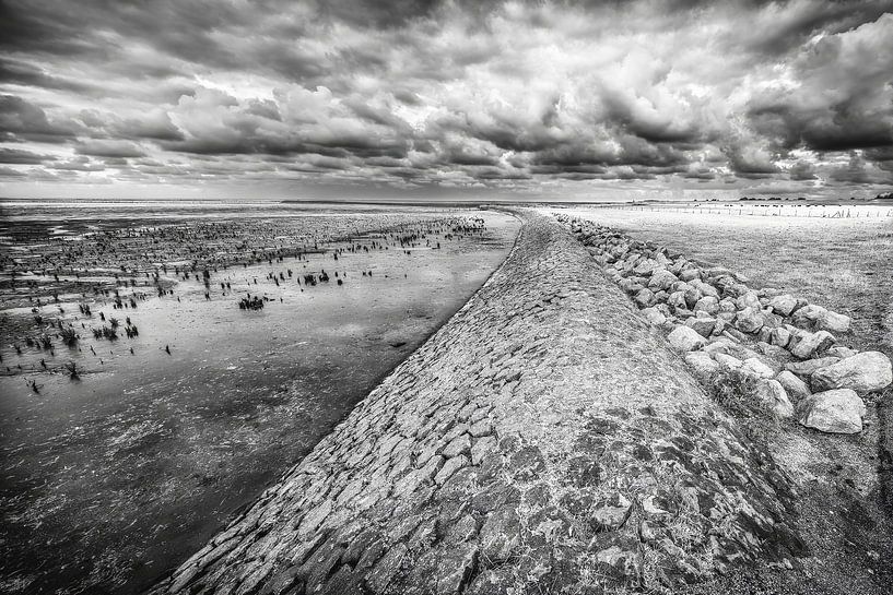 Das Wattenmeer bei Ternaard mit Damm in die Tiefe von R Smallenbroek
