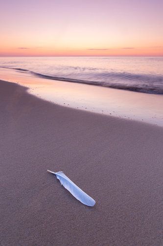 Plage de la mer Baltique en Suède