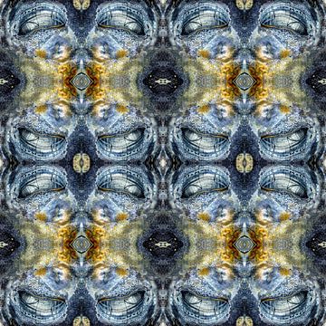 Symfonie van de Schelp: Abstracte Natuurkunst