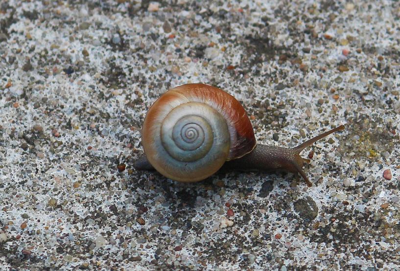 No rush by Dtje fotografie