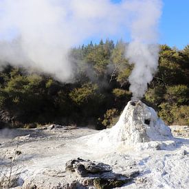 Wai-o-tapu Volcanic Park Neuseeland von Pauline Nijboer