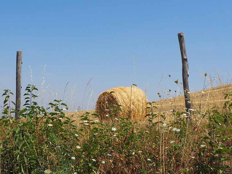 Balle de foin en Toscane par Annie Lausberg-Pater