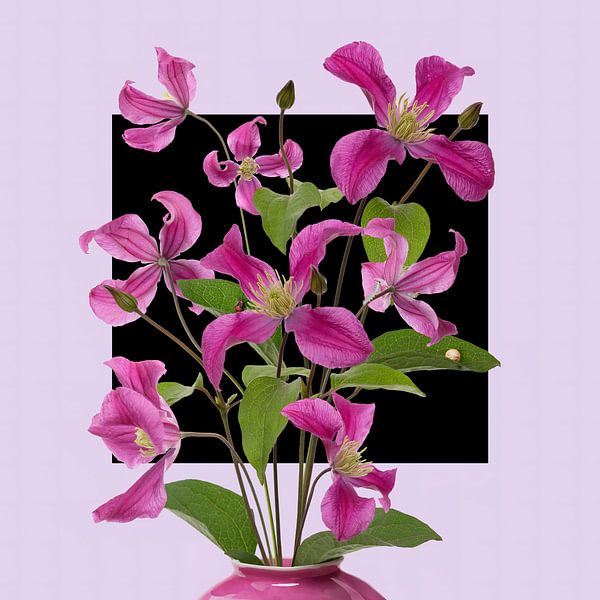 Clematis in einer Vase von Klaartje Majoor