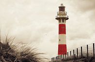 The lighthouse van LHJB Photography thumbnail