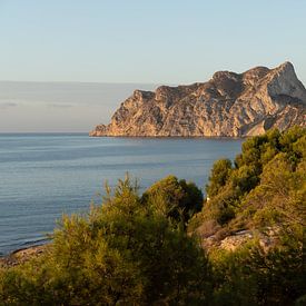 Peñón de Ifach und Pinien bei Sonnenaufgang von Adriana Mueller