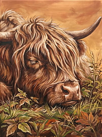 Peaceful Highland Cow sur HUGO