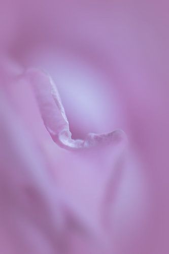 farbenfroher Minimalismus