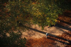 Ombre d'automne